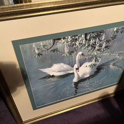 🖼️ Framed Wall Art Swans 🪿