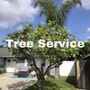 Tree Service