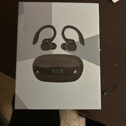 Music Earbuds