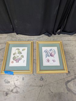 Set of two Vintage Gold Framed Botanical Print with Matting
