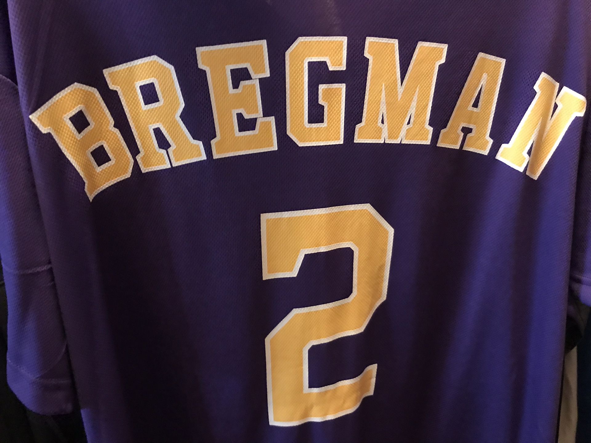 purple and gold bregman jersey