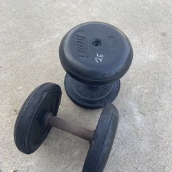 25 Lb Dumbbells 