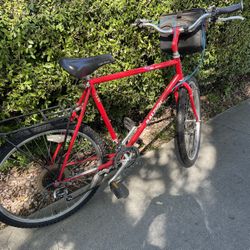 Vintage Raleigh Bicycle 