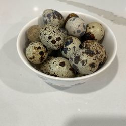 Quail Eggs (Coturnix) $15