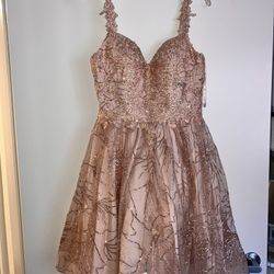 Rose Gold Short Dress