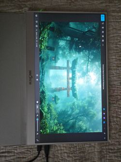 Portable HDMI/ USB C Monitor