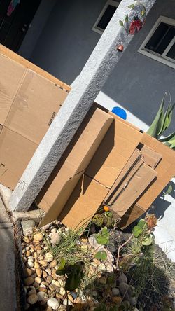Free Moving Boxes
