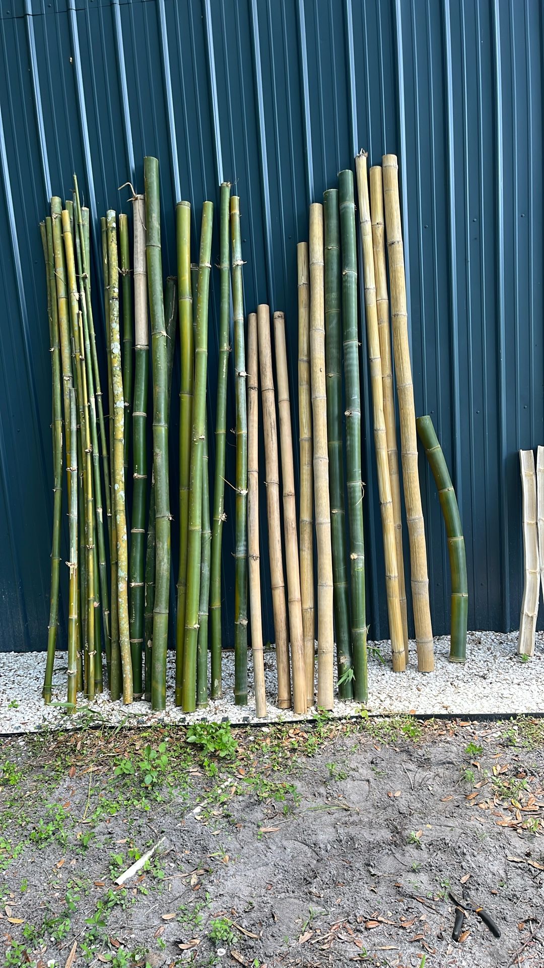 Bamboo Poles All Sizes FREE Local Delivery