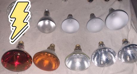 Light Bulb Bundle