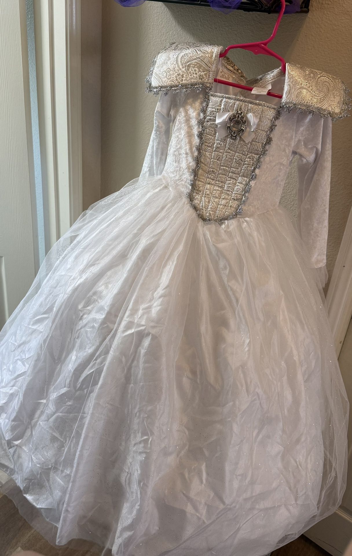 Princess Fairy Costume