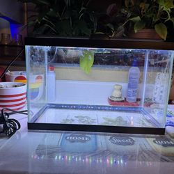 5  GALLON TANK  - SELL NOW-ALMOST FREE!!-BIG PRICE DROP-COMPLETE SETUP  ALL NEW…SELLING OVER 50% OFF…SAVE…$$$…