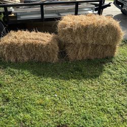 Hay
