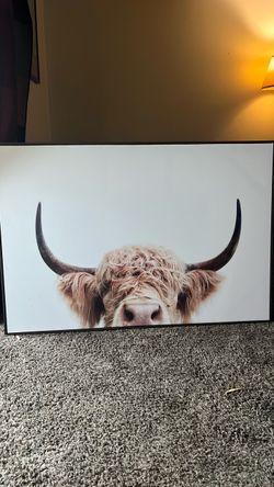 Wall picture of cow
