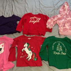 Long Sleeve Shits 2t