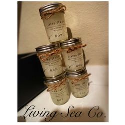 Living Sea Co Sea Moss
