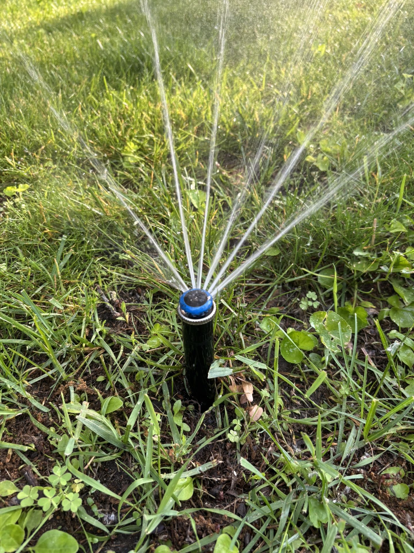Sprinkler Repair