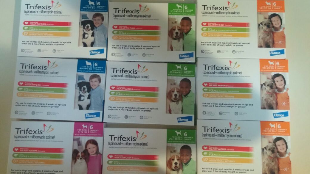 Trifexis and Bravecto