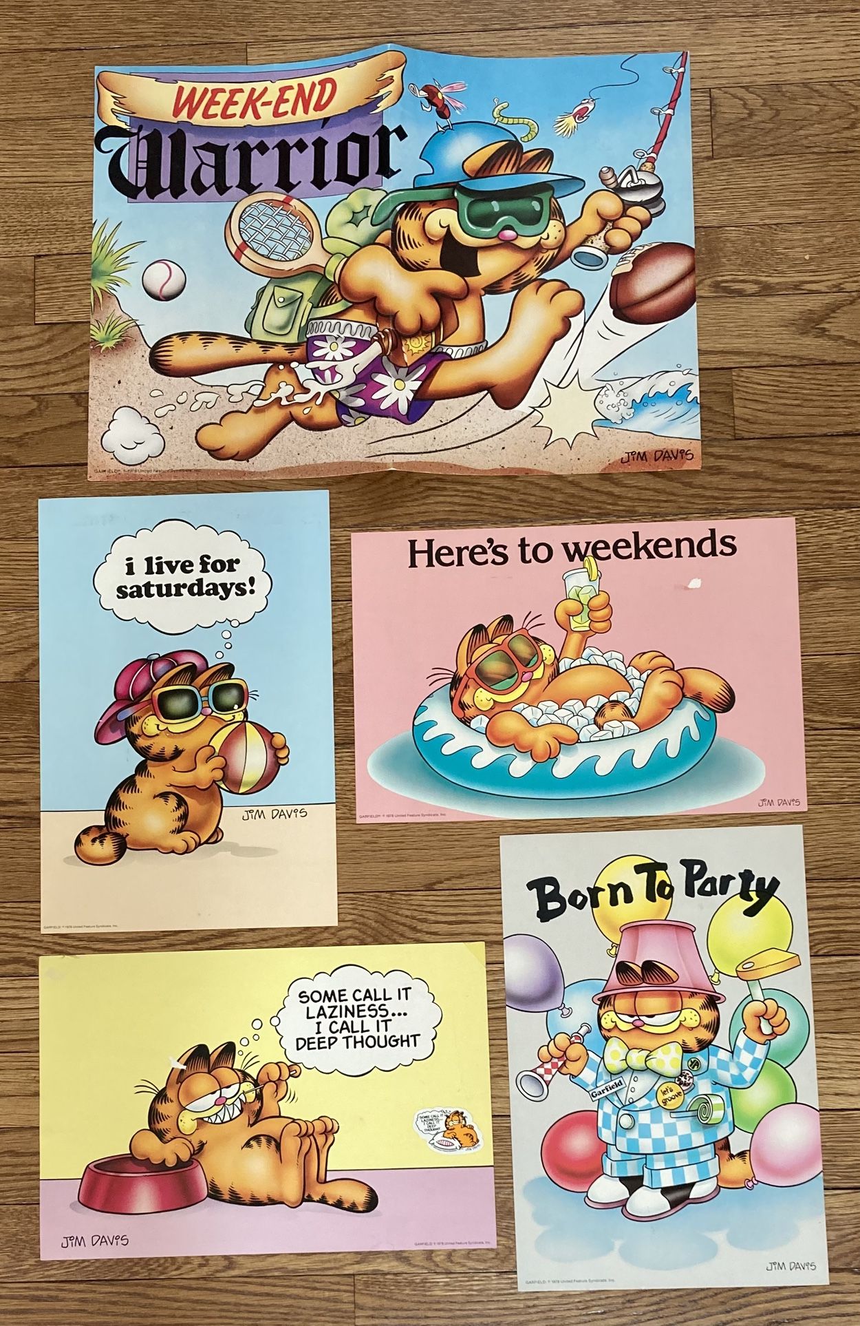 Vintage Lot Of 5 1978 Garfield Jim Davis Posters.