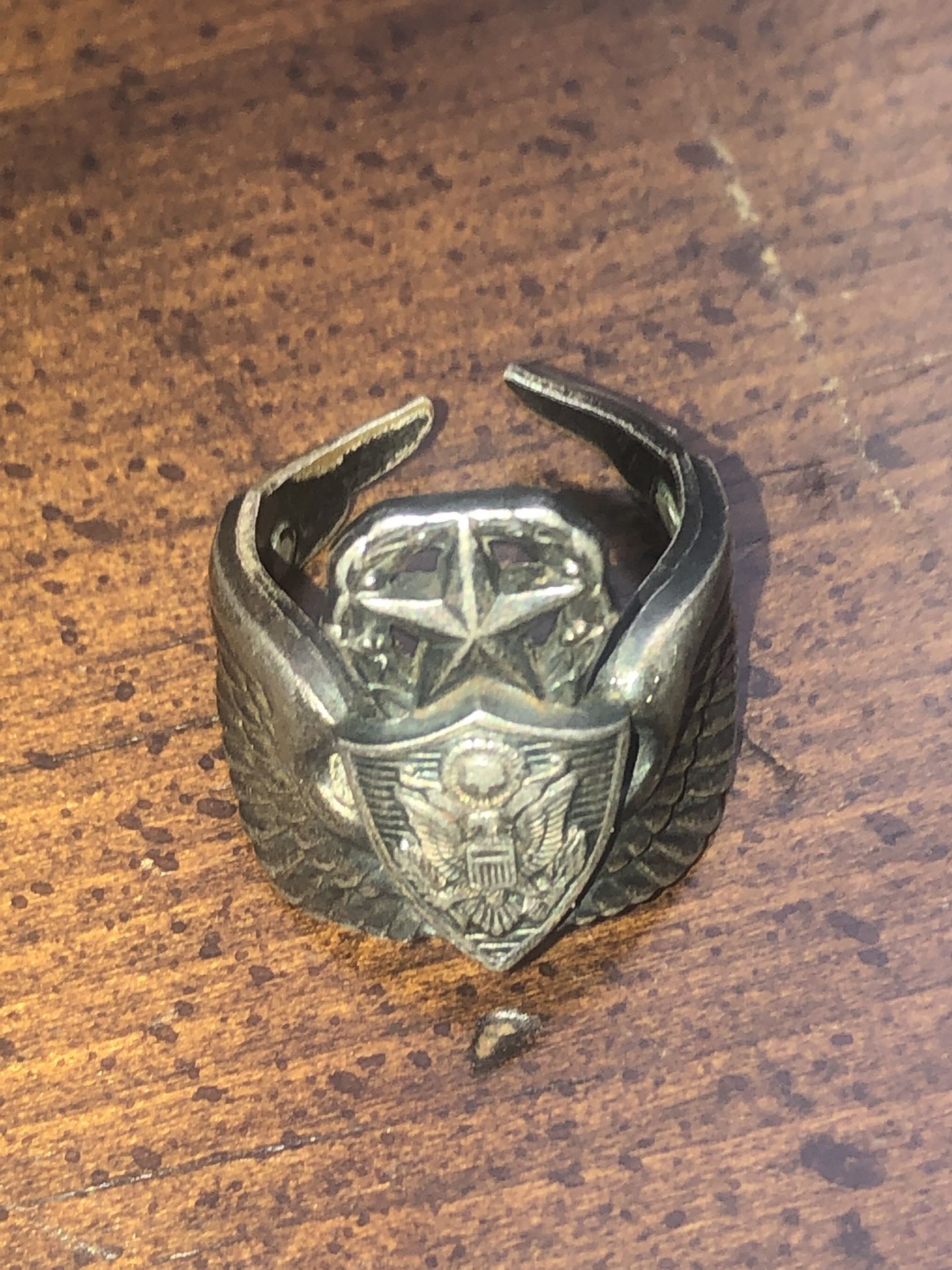 Army Wings turned To Ring