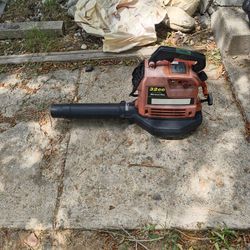 Sears Roebuck & Co 32CC Blower/Vac