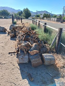 Free firewood