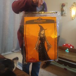 Halloween Gown Only, No Hat.