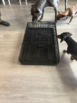 Dog Crate