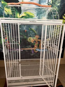 Large parrot cage
