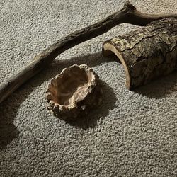 Reptile decor