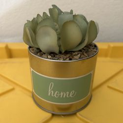 Small Artifial Plant