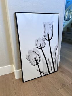 36x24 Large Floating Framed Black and White Tulip Floral Canvas Artwork