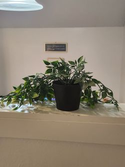 Artifical plant