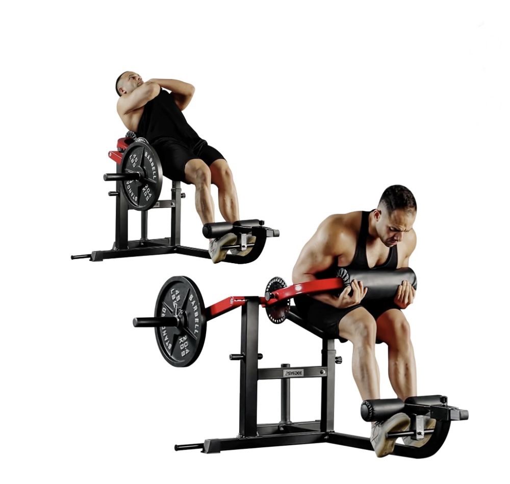 Extending Ab Machine Ab/Back Machine, AB Crunch Back Extension Machine, AB Workout Machine ...
