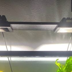 55 Gal Tank Lights 