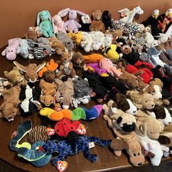 Beanie Baby Collection For Sale 