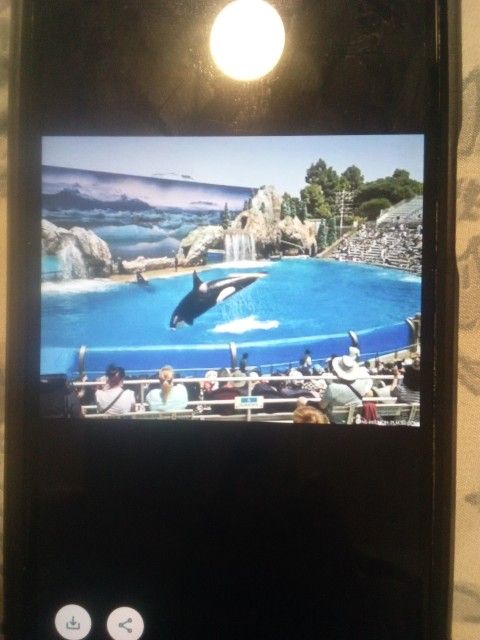 Sea World Tickets 