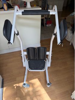 Sara Stedy Stand/Assisted Stand