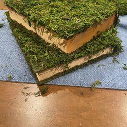 Miss Covered Books For Decorating
