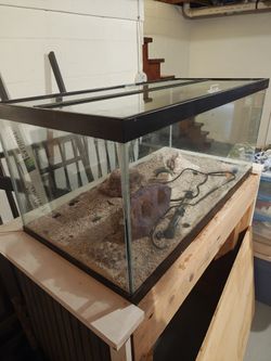 70 Gallon Fish Tank