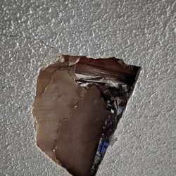 Needed  Small Job Ceiling Repair 