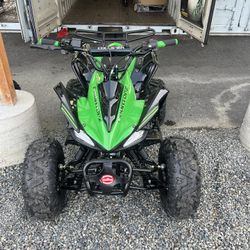 Brand New Wasp 125 Cc Atv With Reverse 