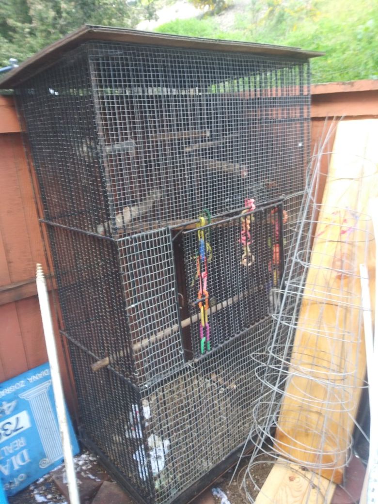 Bird cage for sale