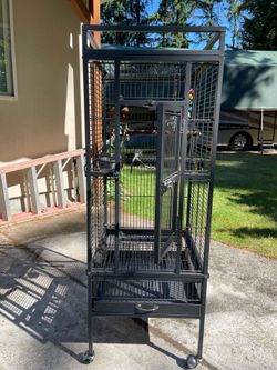 Bird Cage