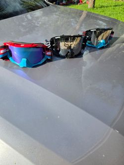 Fox goggles