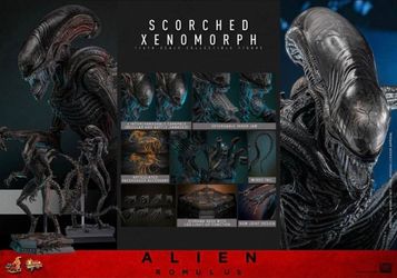 Alien Romulus Scorched Xenomorph Hot Toys Disney No Trades