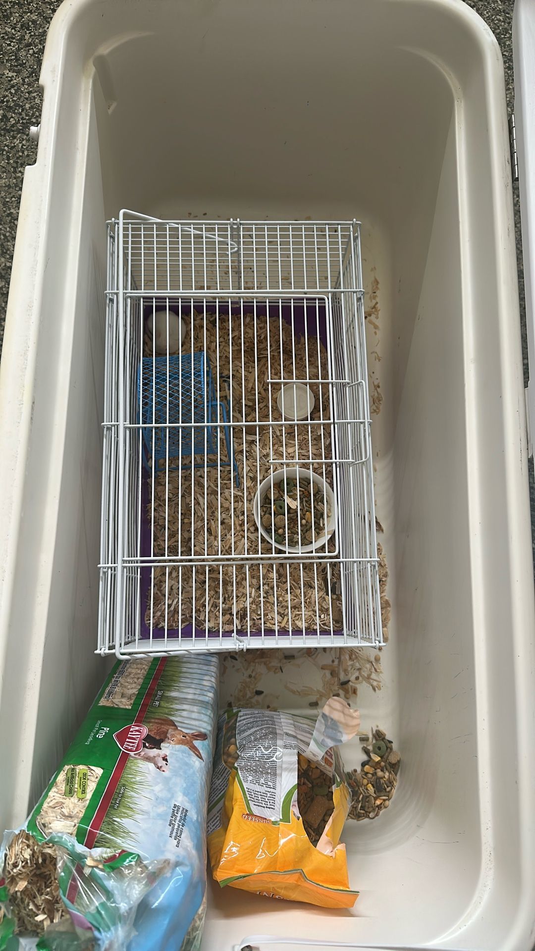 Mouse + mouse cage + food