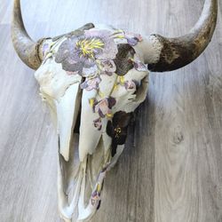 Genuine Buffalo Skull 