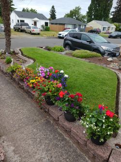 Beautiful Pots And Baskets