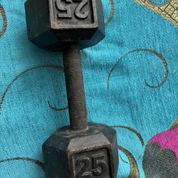 25 Lb Training Weight 