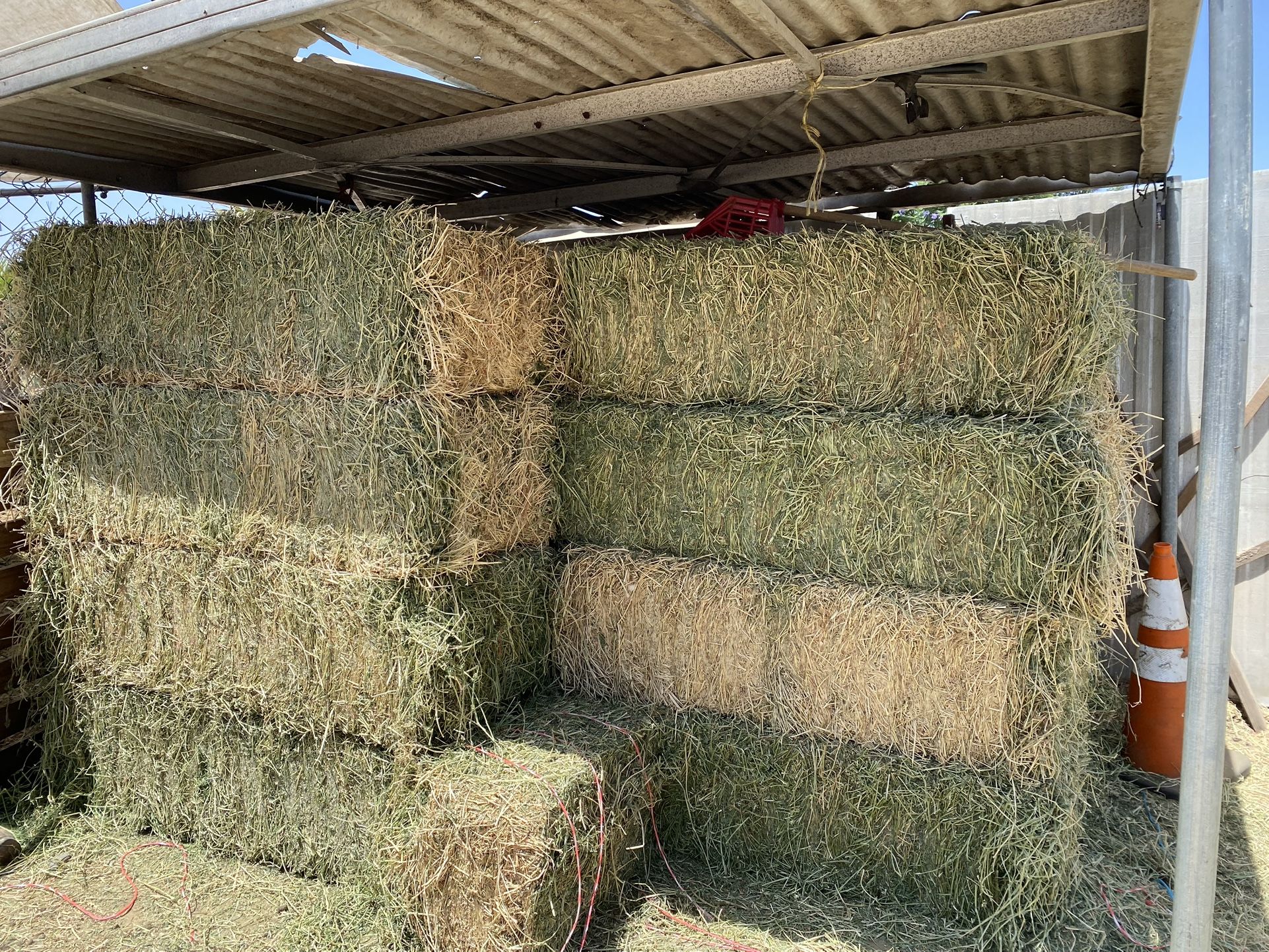 Alfalfa/hay